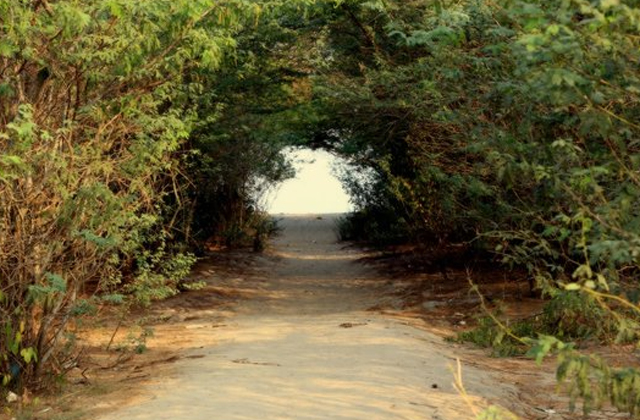 sundarvan