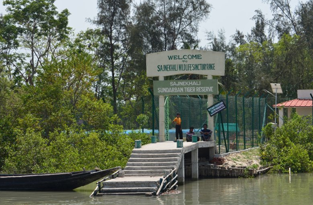 Sajnekhali Bird Sanctuary